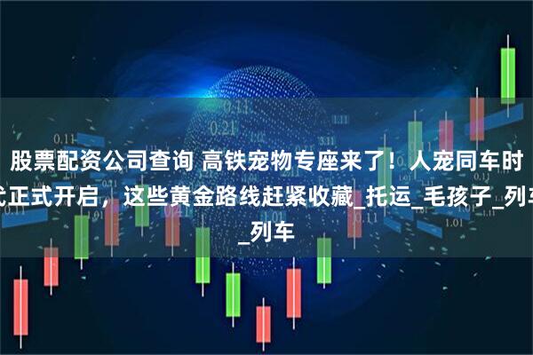 股票配资公司查询 高铁宠物专座来了！人宠同车时代正式开启，这些黄金路线赶紧收藏_托运_毛孩子_列车