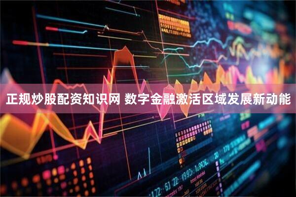 正规炒股配资知识网 数字金融激活区域发展新动能