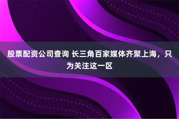 股票配资公司查询 长三角百家媒体齐聚上海，只为关注这一区
