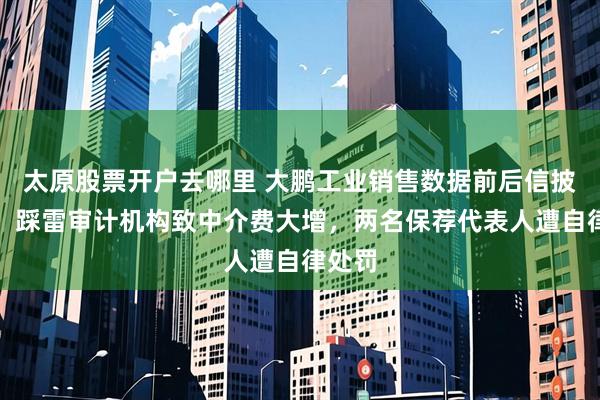 太原股票开户去哪里 大鹏工业销售数据前后信披不一，踩雷审计机构致中介费大增，两名保荐代表人遭自律处罚