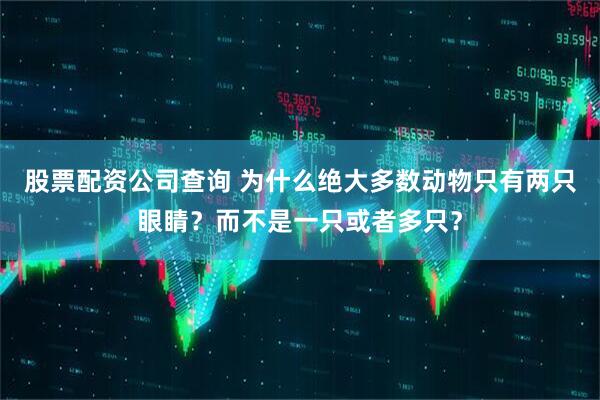 股票配资公司查询 为什么绝大多数动物只有两只眼睛？而不是一只或者多只？